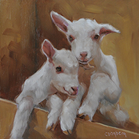 Baby Goats