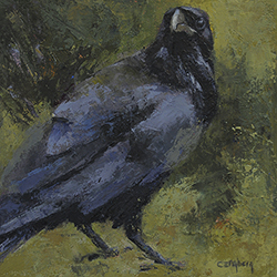 Raven