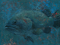 Grouper