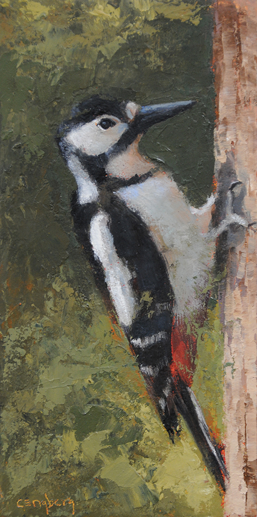 Downy Woodpecker